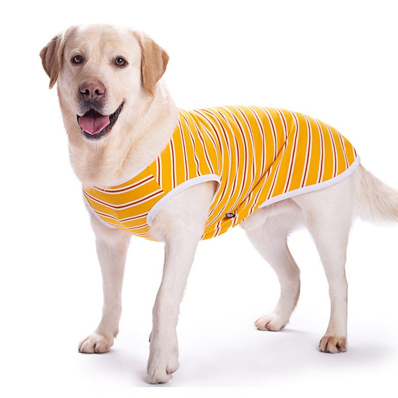 KUTKUT Cotton Striped T- Shirt for Medium/Large Dogs | Breathable Stretchy Fashion Big Dogs Clothes for Labarador, Golden Retriver, Germal Shepherd Samoyed etc ( Yellow)-T-Shirt-kutkutstyle